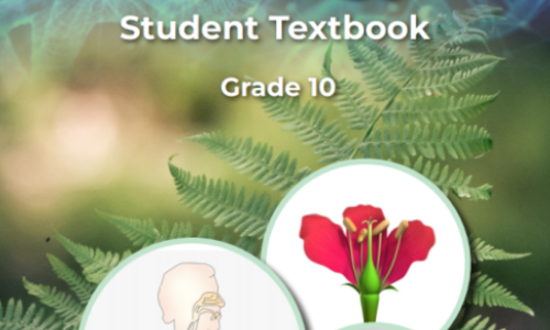 Biology grade 10 worksheet